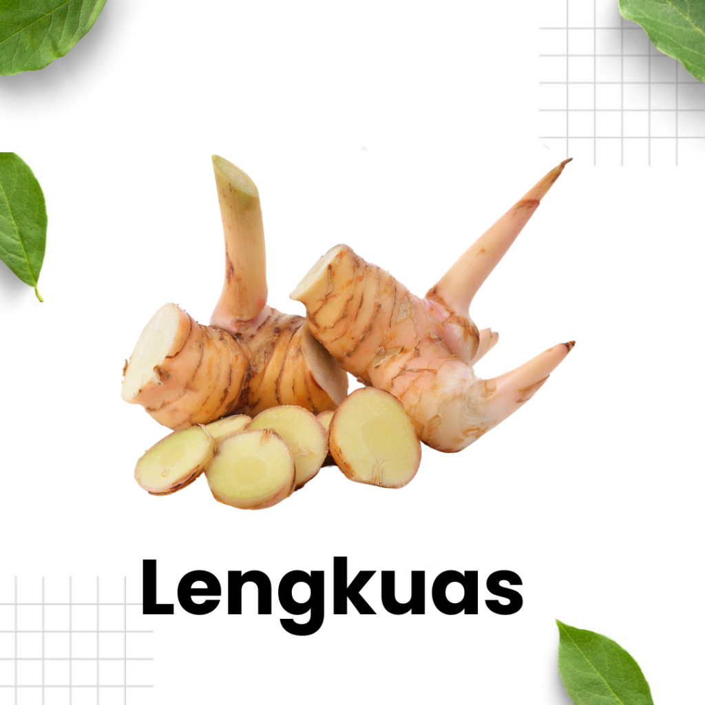 

Lengkuas / bumbu rempah / bumbu masak / sayur segar / sayuran / Sidoarjo Surabaya