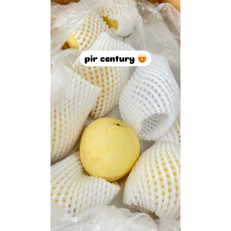 

pir century