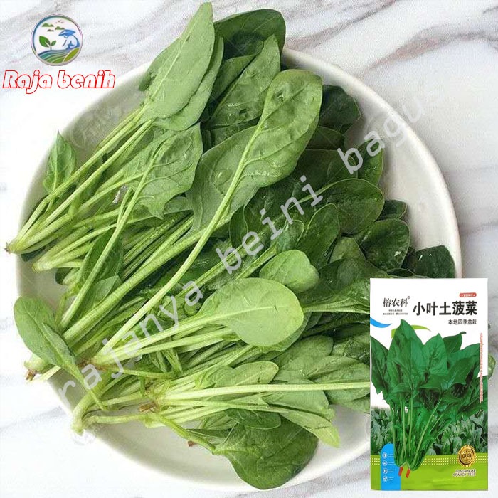 Benih bayam jepang | benih sayuran | bayam jepang isi 800        AA - 019