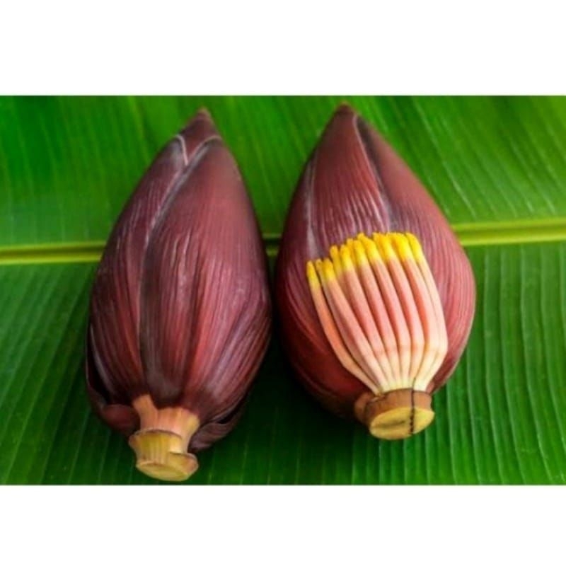 

Ready jantung pisang kepok segar/ di petik ketika orderan masuk