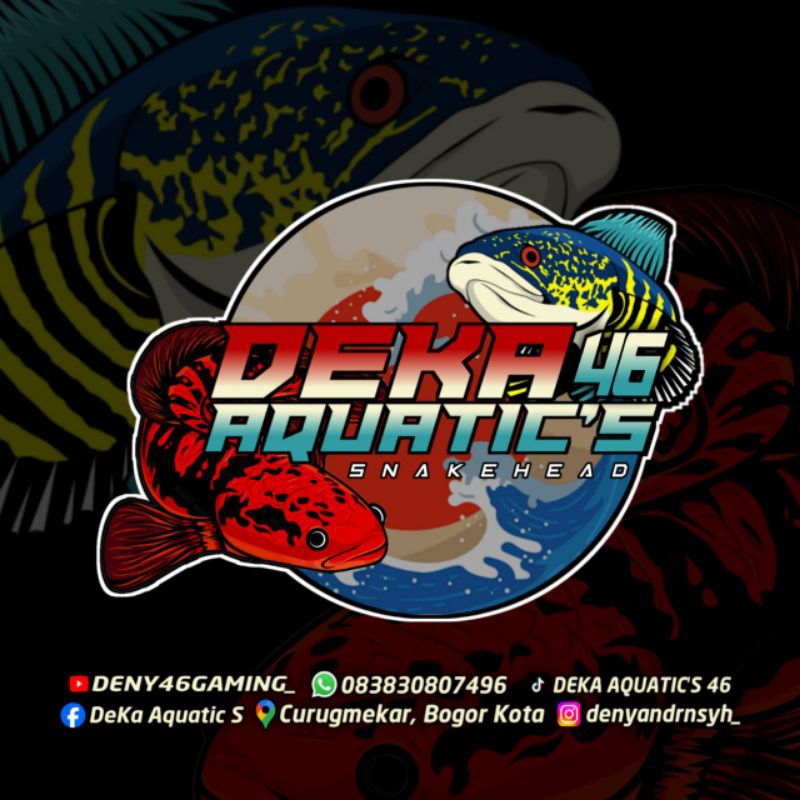 RedPbun / RedBarito Display 25cm - 30cm±