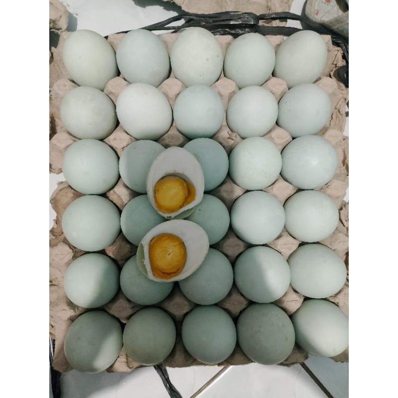 

Telor asin nikmattt(bebek)