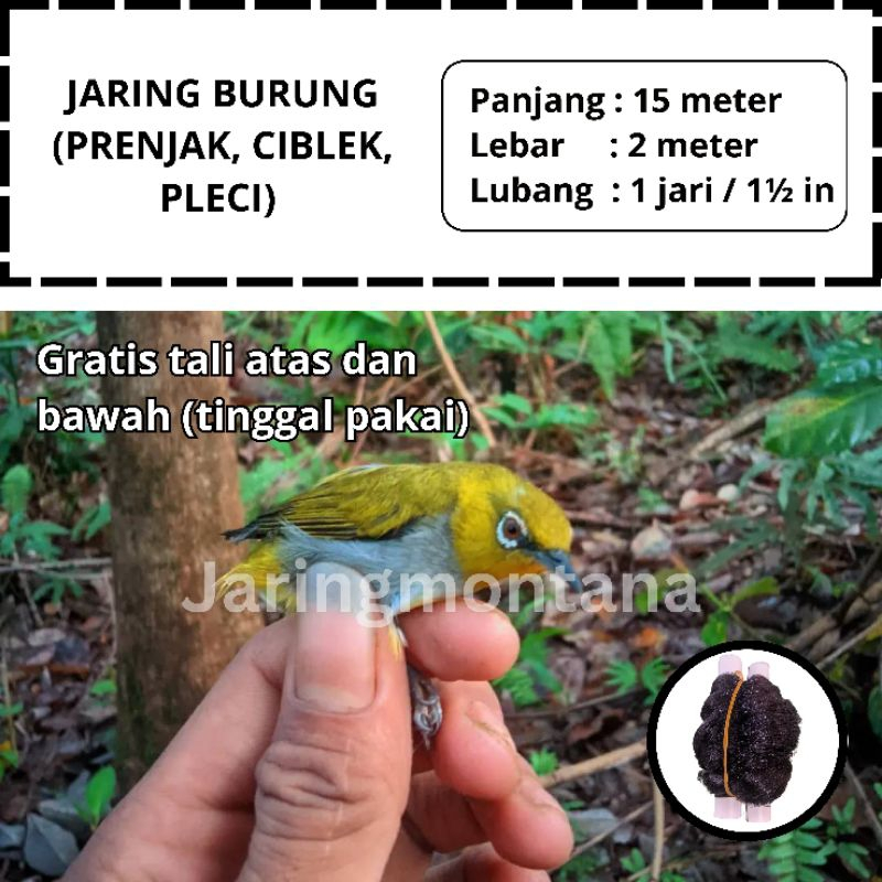 JARING BURUNG PRENJAK PIKAT JEBAKAN BURUNG KECIL JARING BURUNG SIAP PAKAI JARING MONTANA
