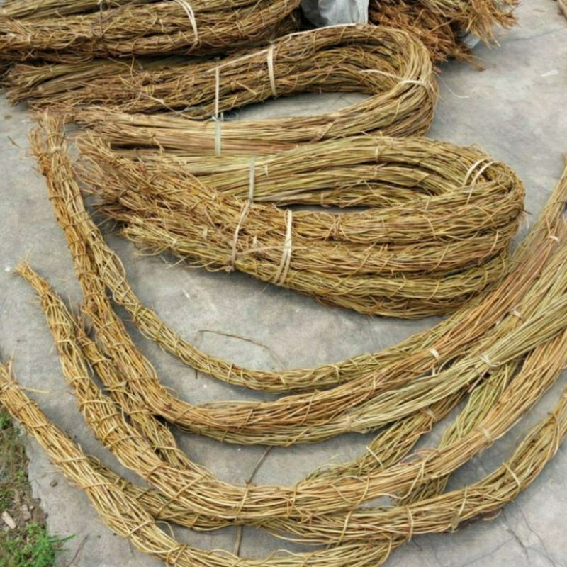 Akar manon / Akar Dekorasi / Akar Mentau / Untuk Ring Dekorasi / media tancap bunga kering / backdro