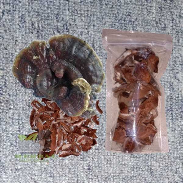 

Jamur Ganoderma Atau Lingzhi Kering Per Bungkus