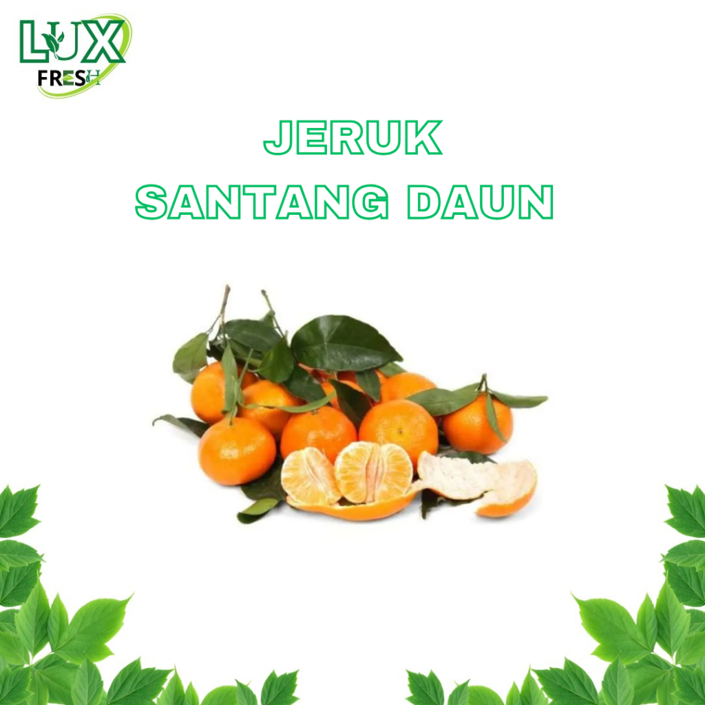 

BUAH SEGAR JERUK SANTANG DAUN UKURAN 1 KG DAN 500 GRAM BEST PRODUCT