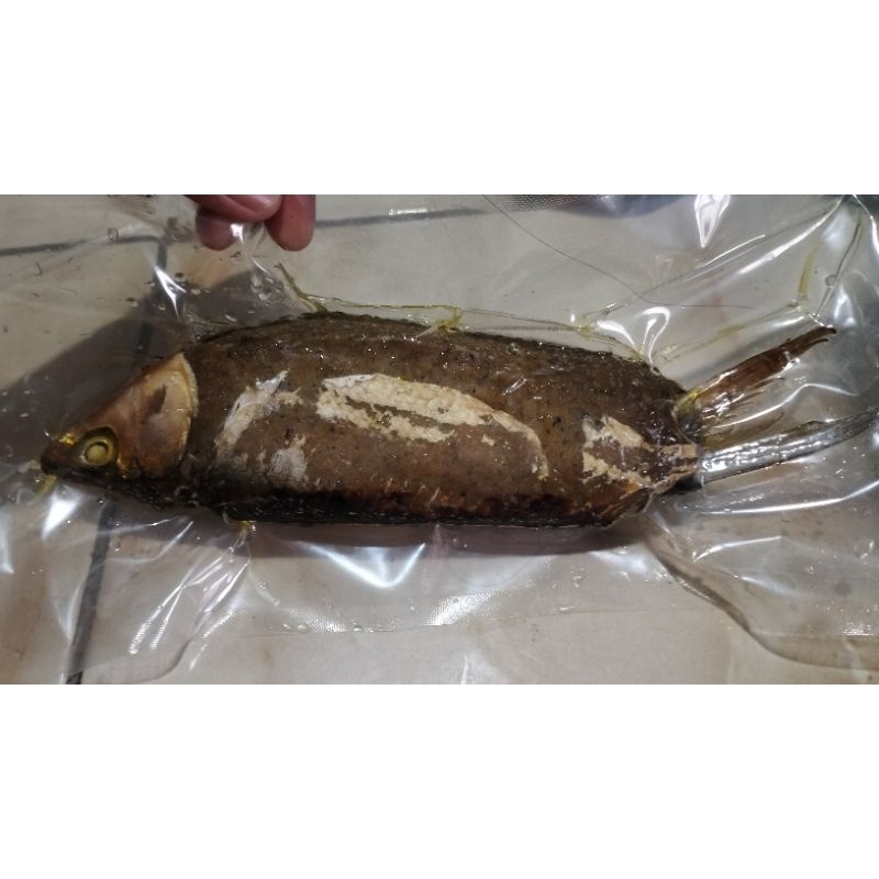 

Otak - otak bandeng uuenak Bu.SUN
