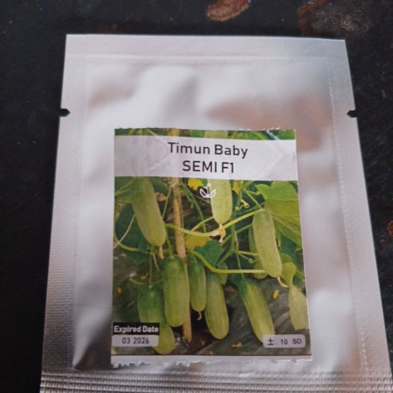 bibit benih timun Baby semi F1