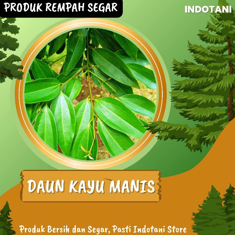 

INDOTANI_ Daun Kayu Manis Segar Kering dan Basah / Daun Manis Kualitas Tinggi / Daun Kayu Manis Pilihan