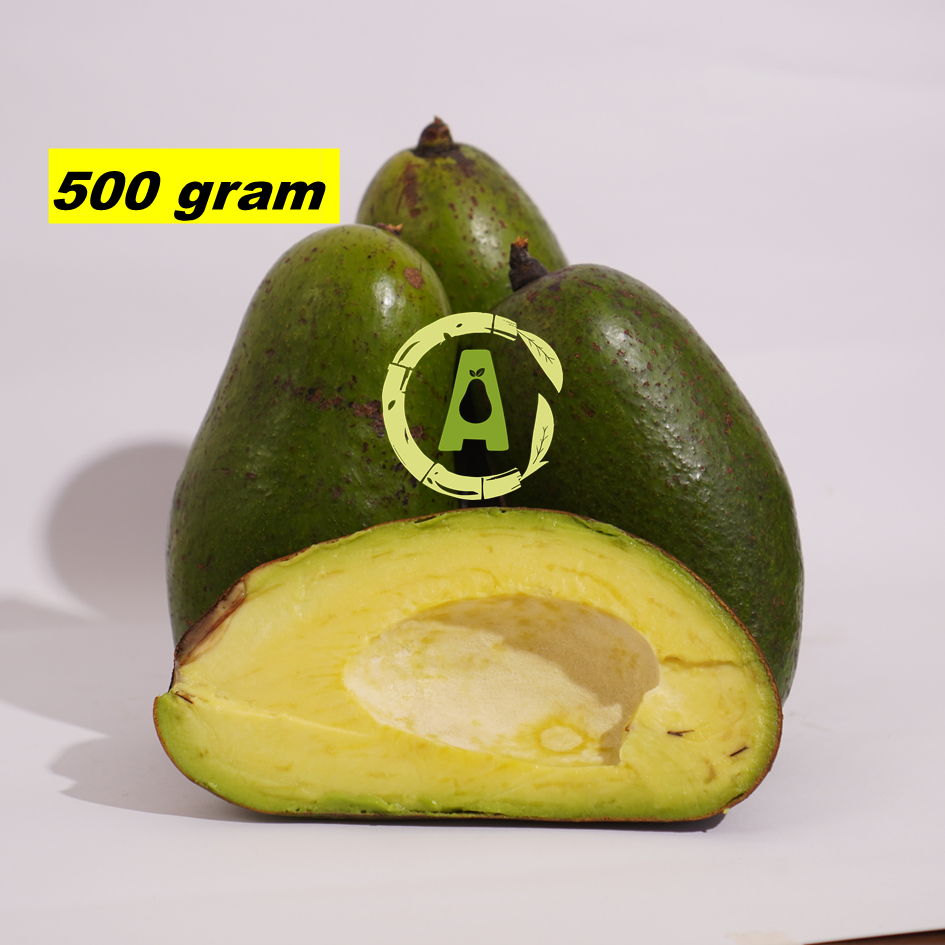 

AZBOCADO Alpukat Pameling Super Jumbo Alvocado Mentega Daging Tebal Tanpa Serat - 500 Gram [Isi 1 Biji]
