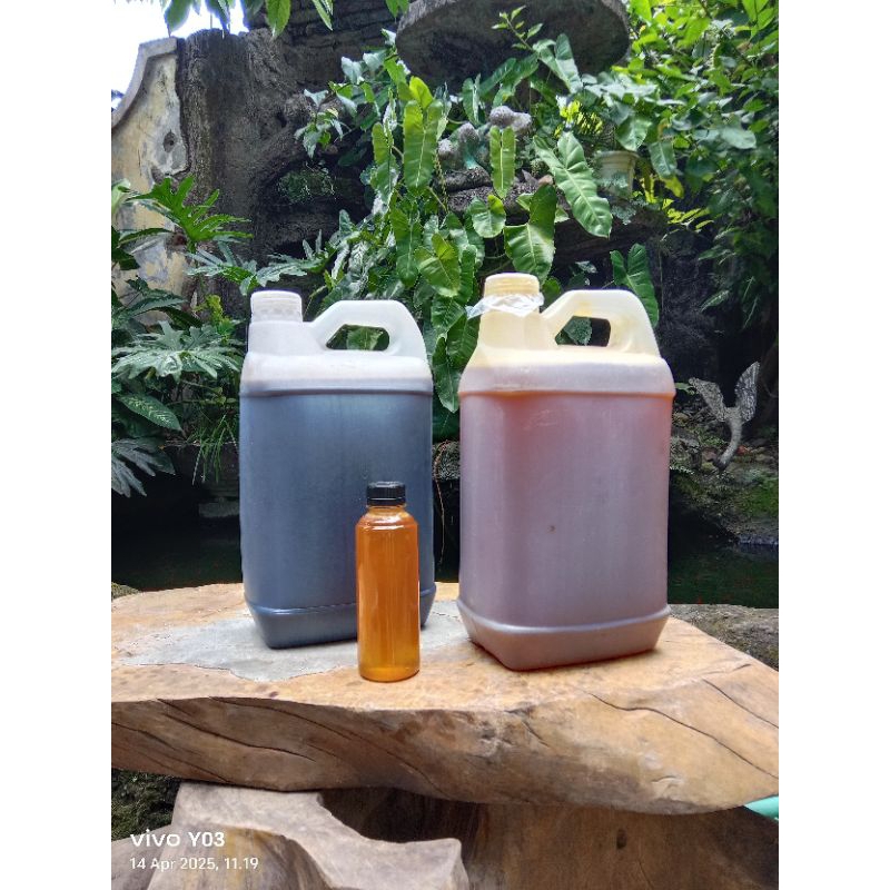 

madu kuning hutan liar sumbawa 5L + bonus 1botol 250ml