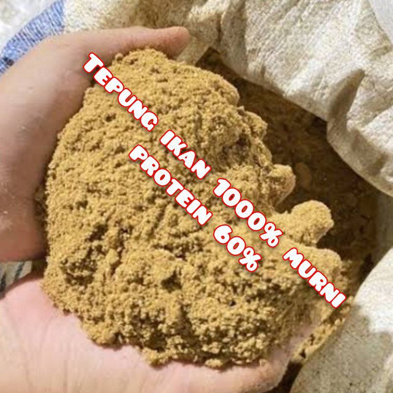 Tepung ikan protein Tinggi Tepung ikan pakan ternak Tepung ikan