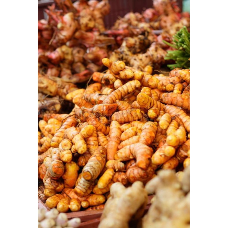 

Kunyit fresh / koneng segar 1kg langsung ambil ketika orderan masuk