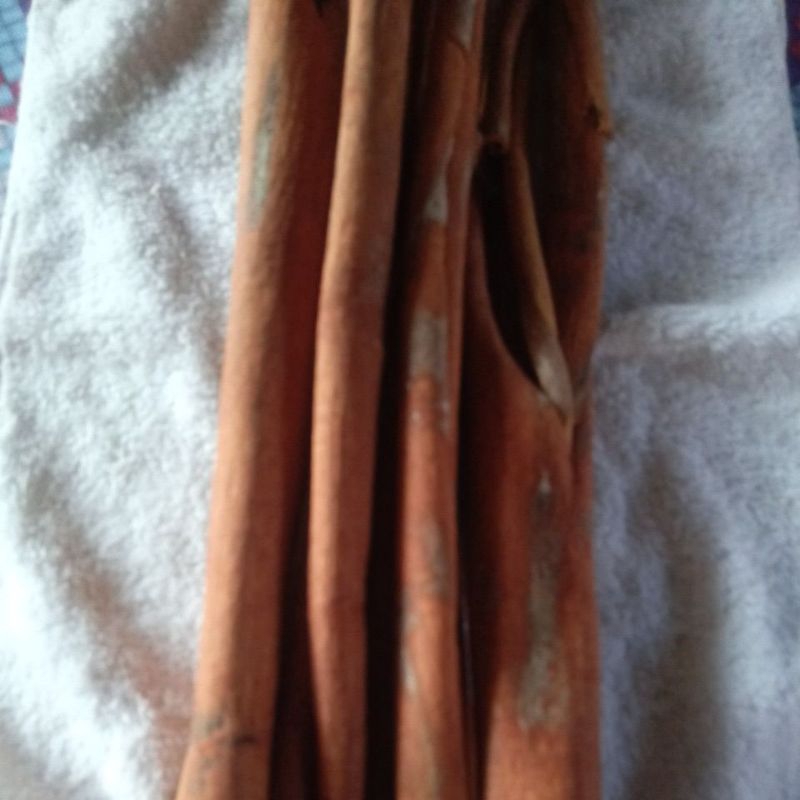 

kulit manis asli kerinci