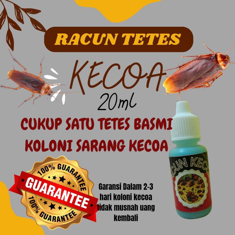 G-spray Racun Kecoa cair - satu tetes memusnahkan satu koloni kecoa