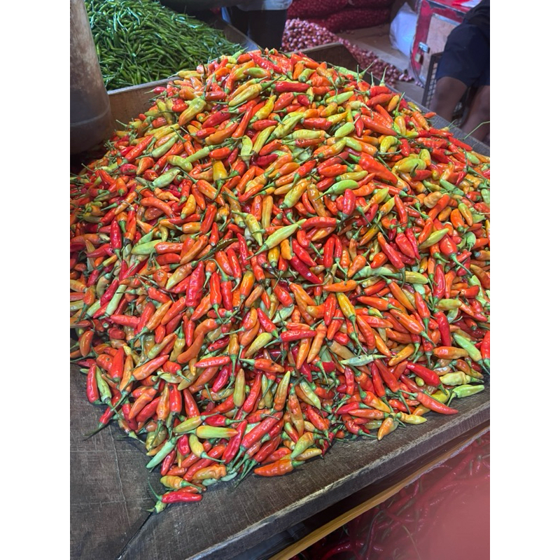 

Cabe Rawit Setan Gendut Fresh 500gr