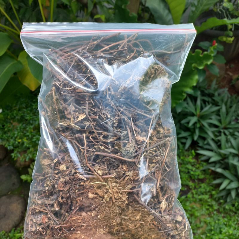 

daun cincau hitam kering 1 kg janggelan kering