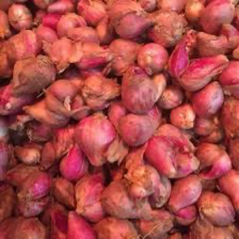

Bawang Merah Madura Fresh 1Kg
