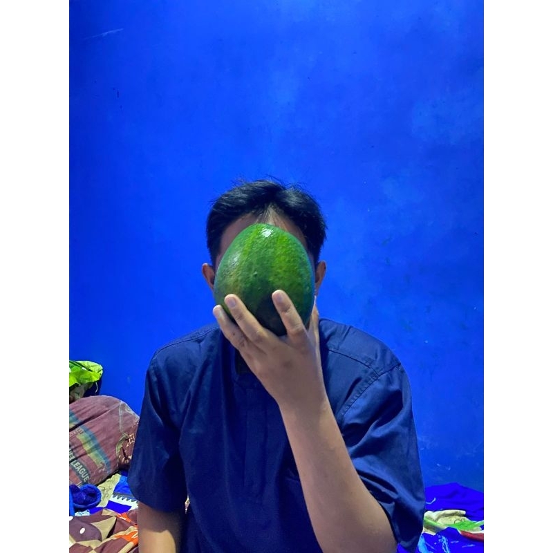 

alpukat pluwang 1kg