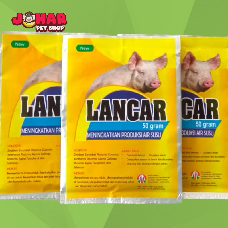 lancar babi 50gr jamu meningkatkan produksi air susu babi