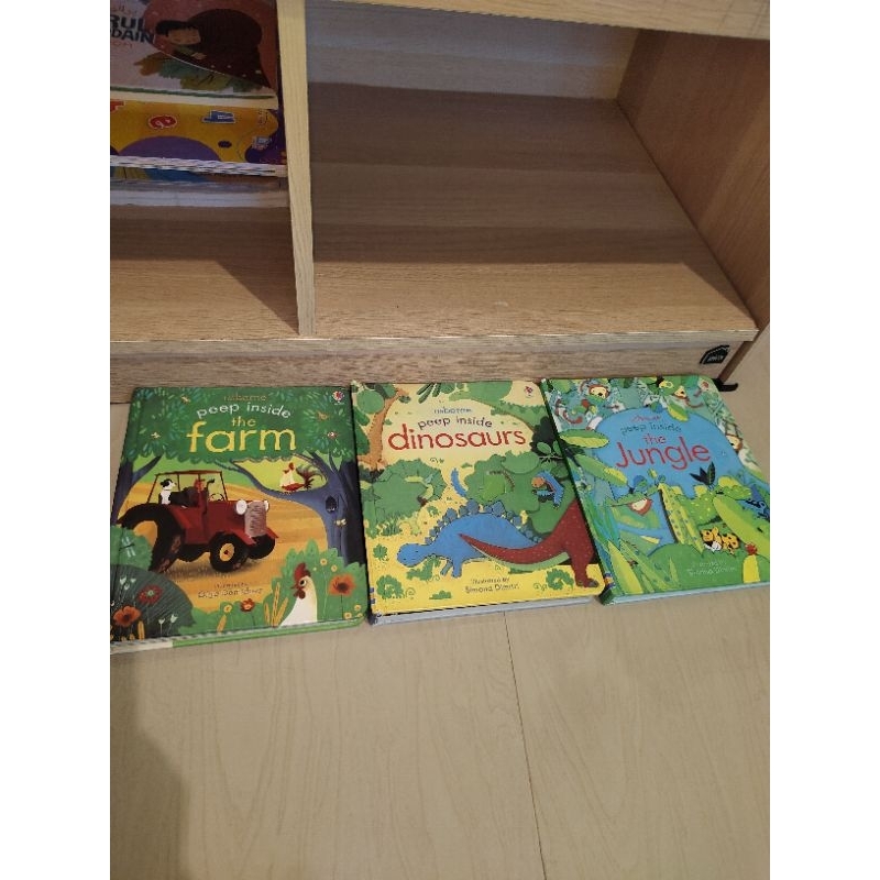 3 paket buku bekas Usborne peep inside