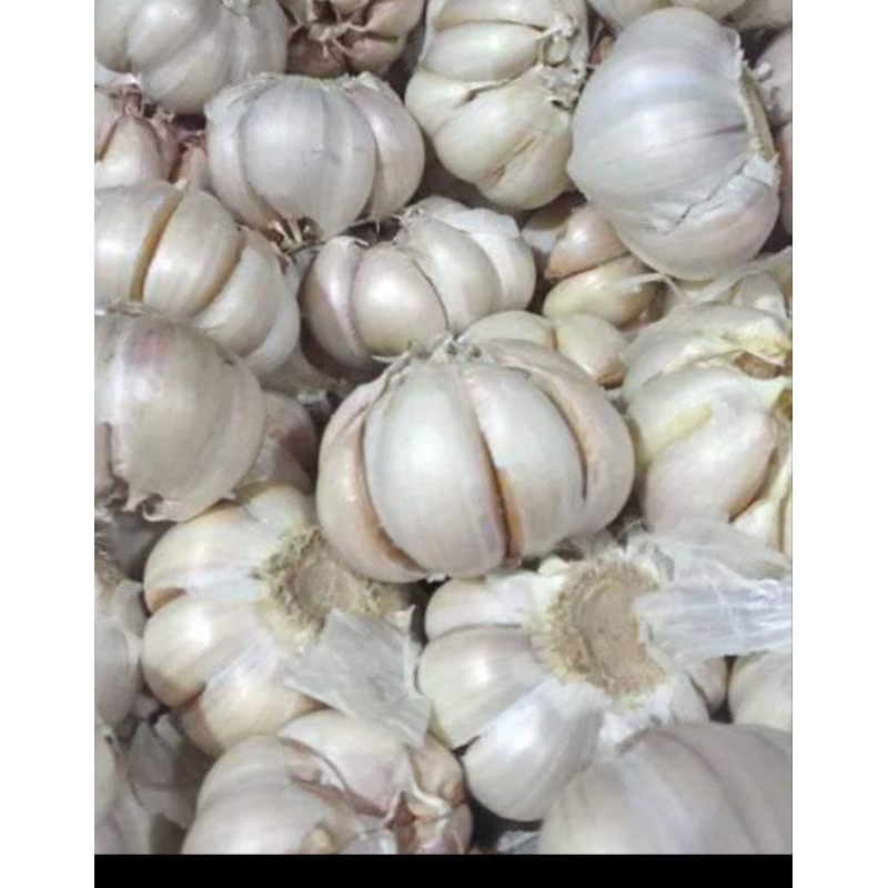 

bawang putih 500gr