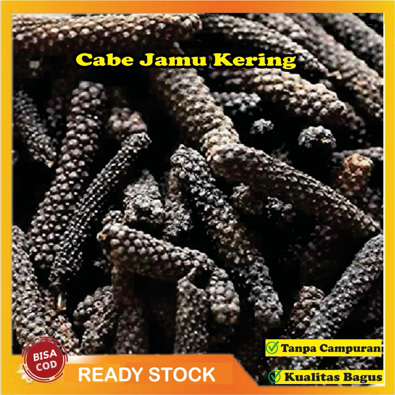 

Cabe Jamu Kering Cabe Puyang Cabe Jawa Kualitas Bagus 100gr