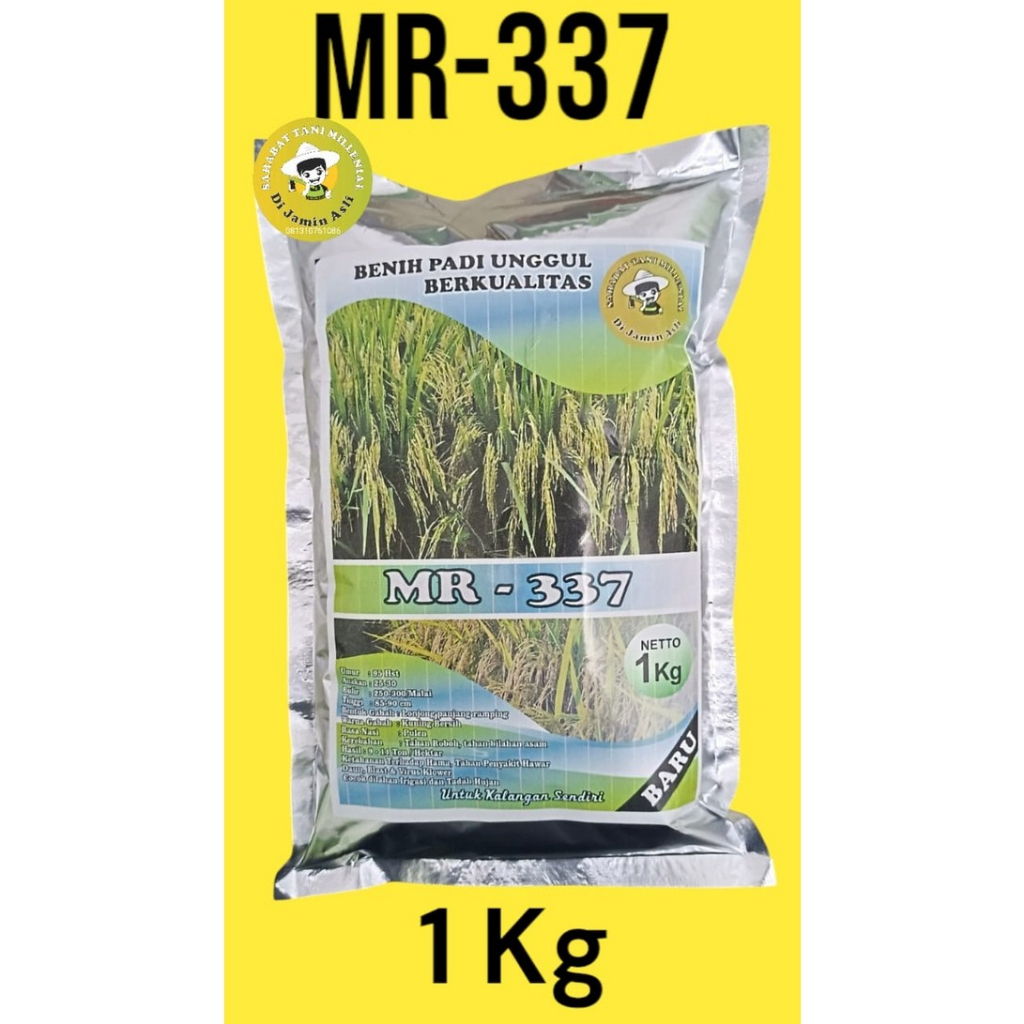 Benih MR 337 Original