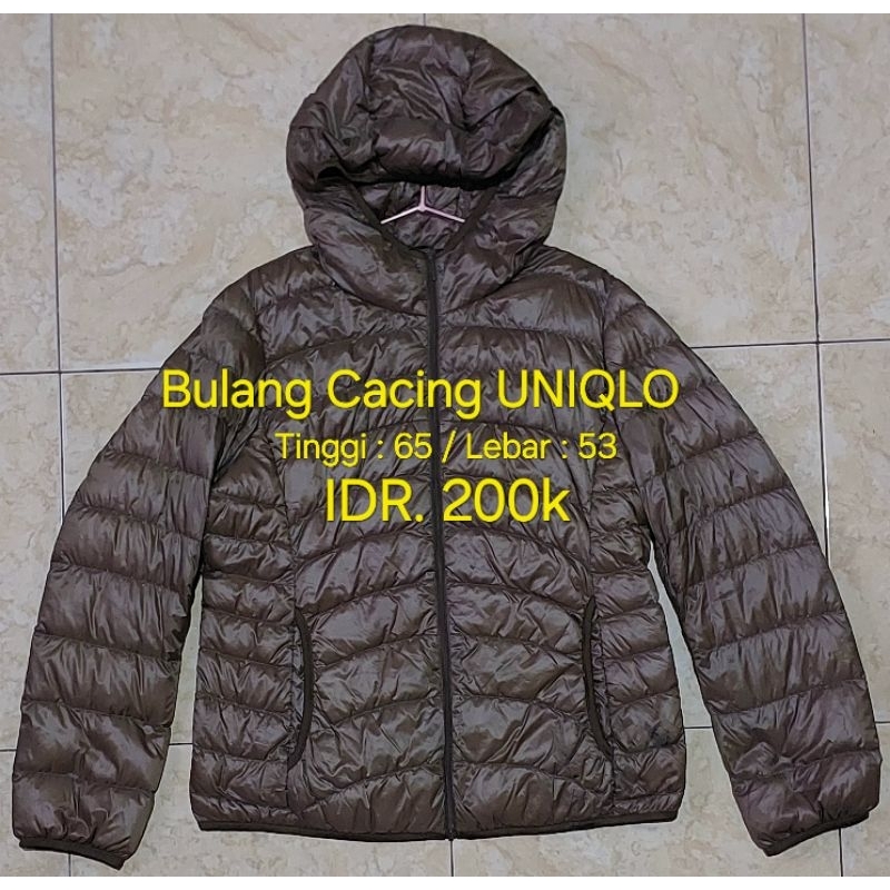 Down Jacket
