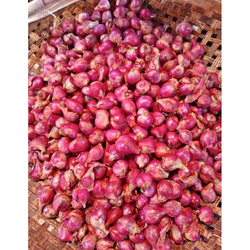 

BAWANG MERAH SEGAR FRESH