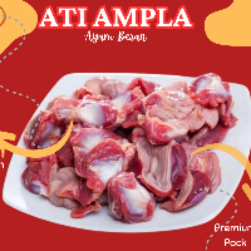 

Ati Ampla besar