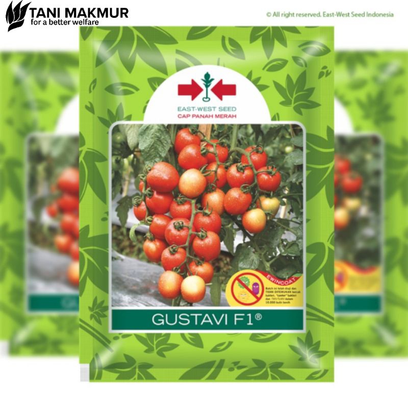 

Tomat Gustavi F1