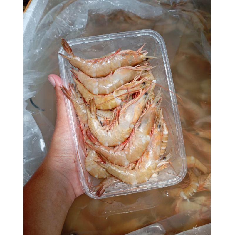 

Udang Dogol -+500gr