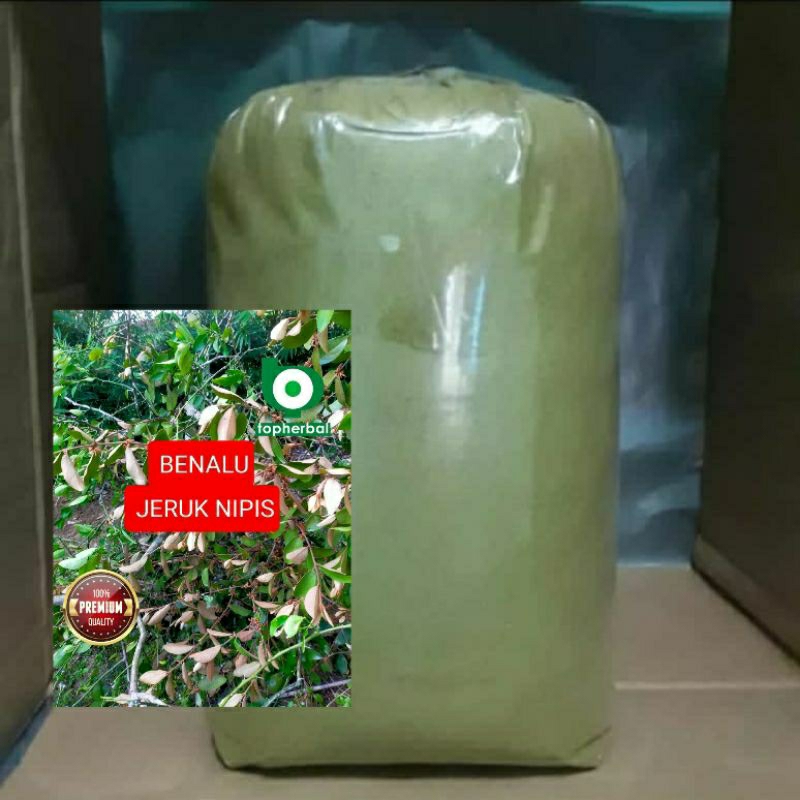 

Bubuk Benalu Jeruk Nipis 1000 Gram Kering Hijau Organik Super Premium