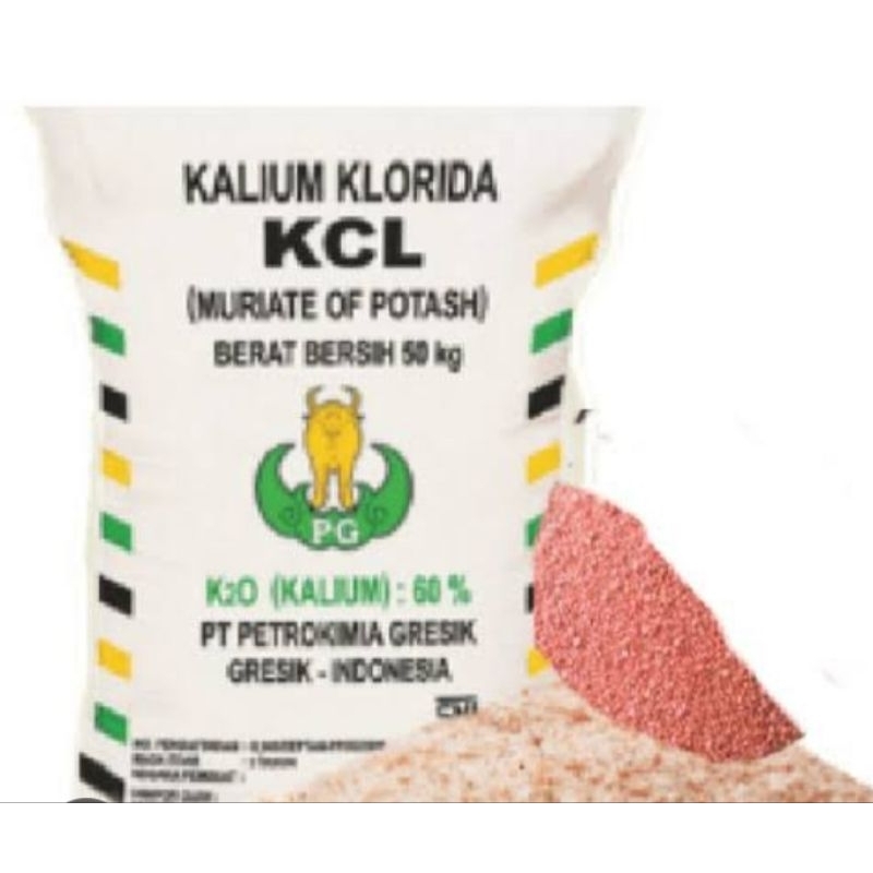 pupuk KCL