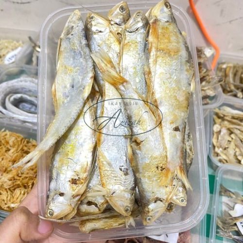 

IKAN PUTIHAN IKAN ASIN [IKAN ASIN AZIZAH]