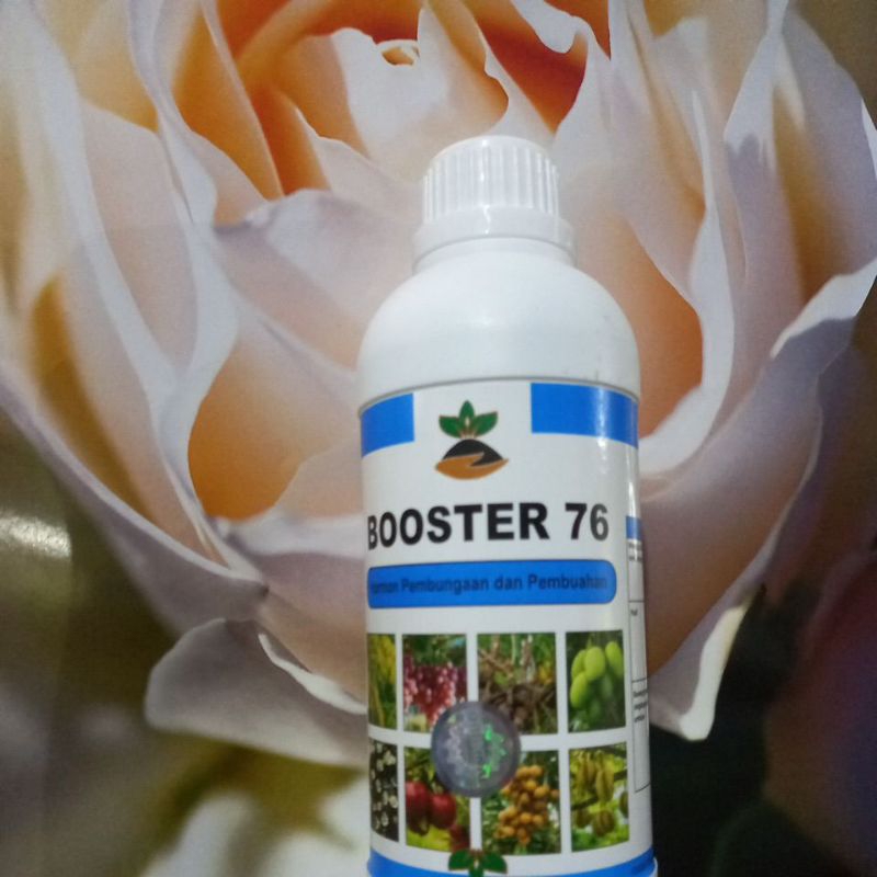 Booster76/hormon/pembungaan&pembuahan