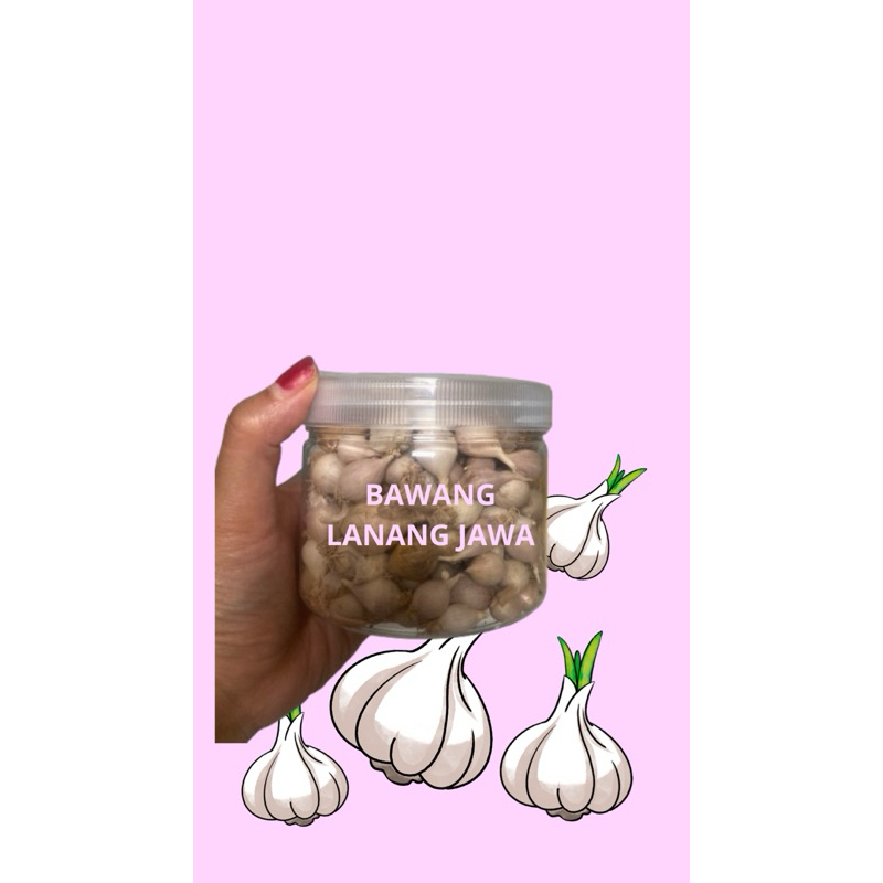 

BAWANG LANANG LOKAL Asli Jawa