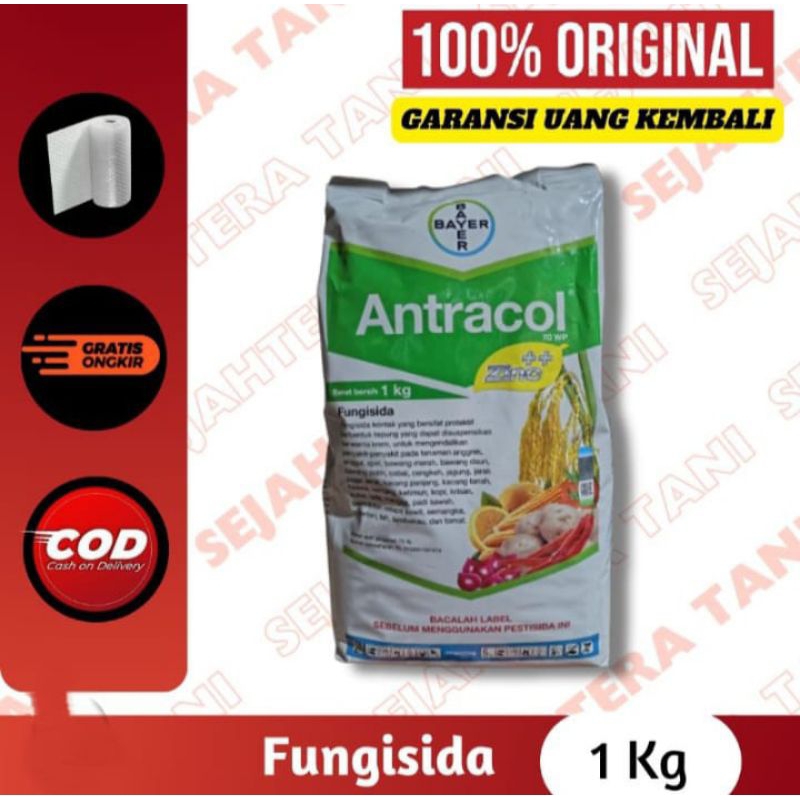 ANTRACOL 1Kg