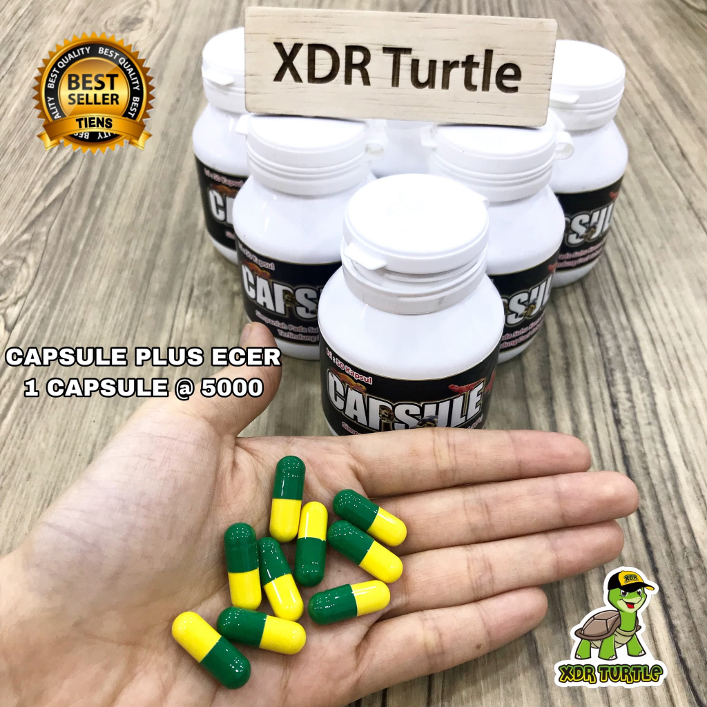 CAPSULE PLUS ECER OBAT TORTO REPTIL KURAKURA BRAZIL RES SULCATA LEMES