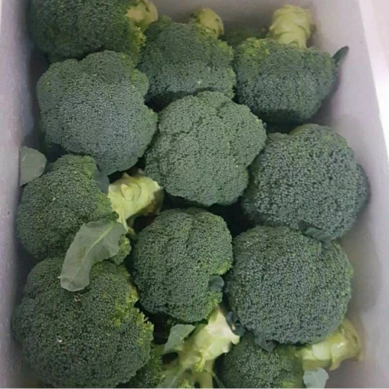 

Brokoli Sayur (Fresh) per-butir