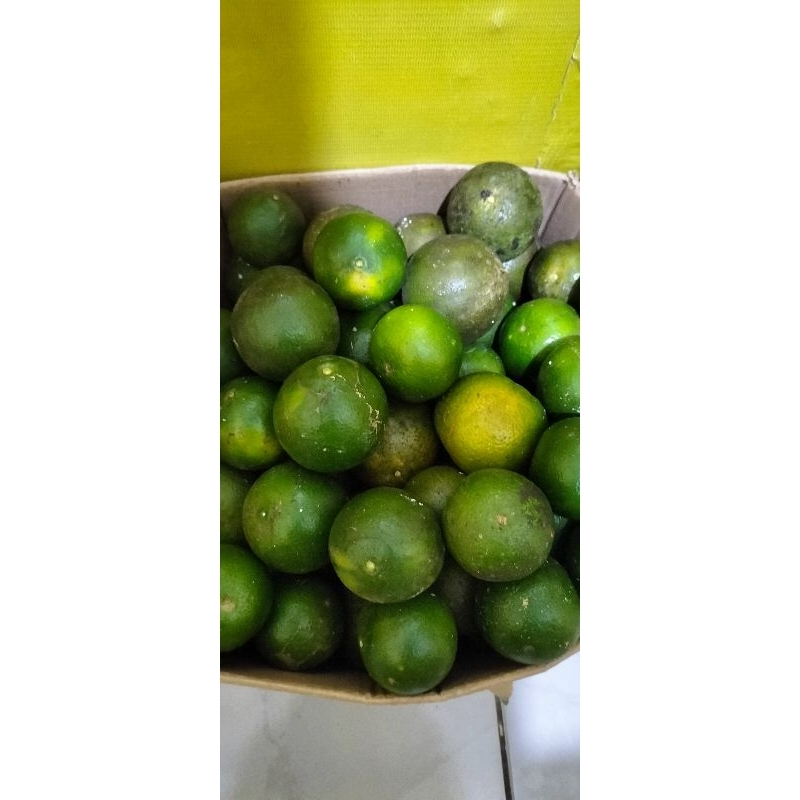 

Jeruk Peras 1 kg
