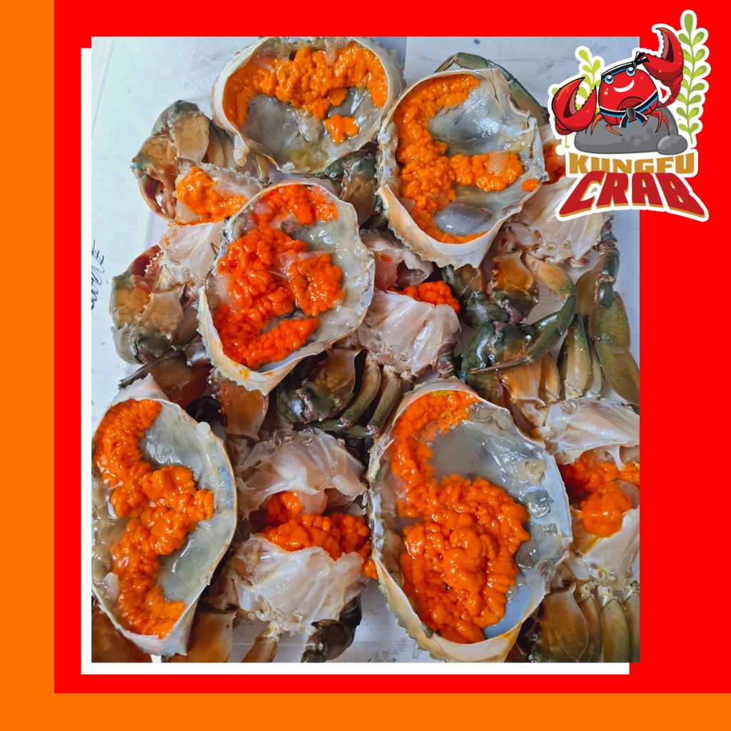 

KUNGFUCRAB Kepiting Hidup Betina Telur Garansi Daging Tebal Farm Fresh Masak