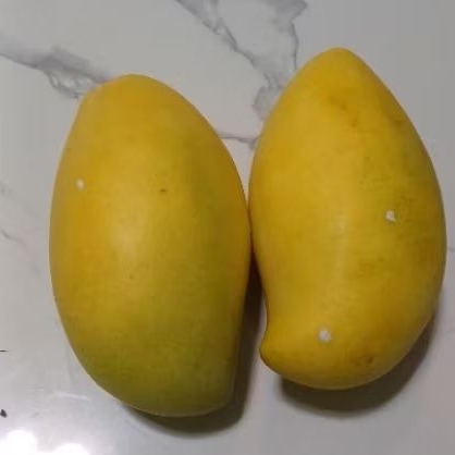 

mangga thailand lokmay 500g