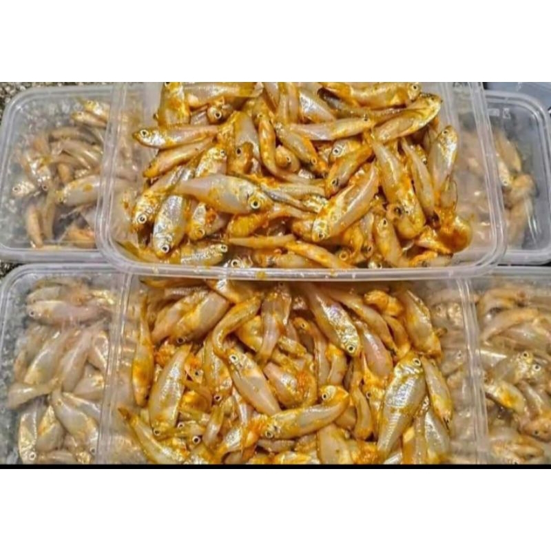 

Wader Marinasi 200gr