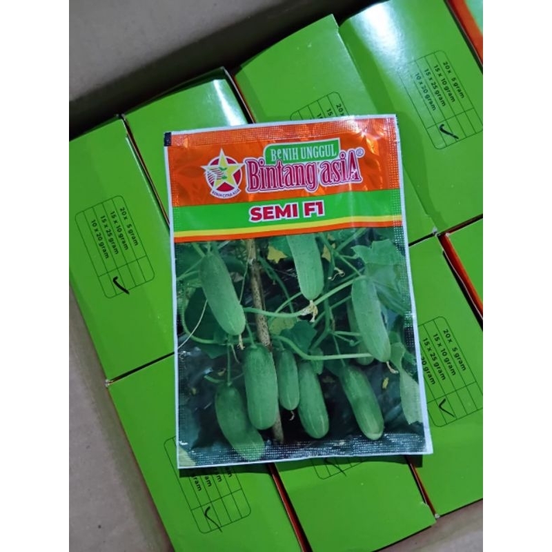 Benih Timun Semi F1 (20 gr)