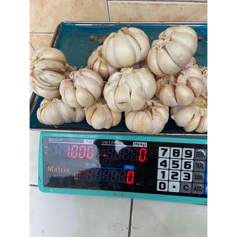 

bawang putih 2kg promo sincu sinco Ukuran Sedang Dan Besar