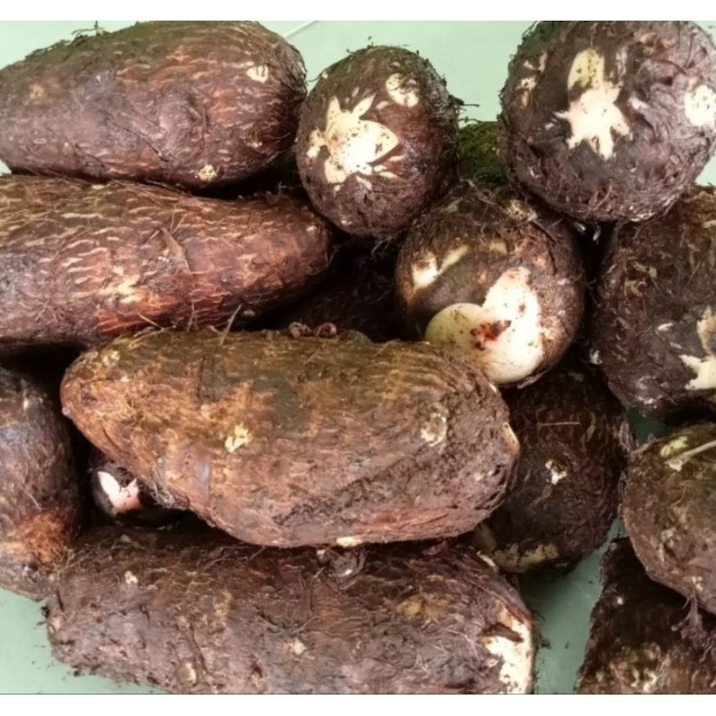 

promo termurah/umbi talas peratama kimpul mantap pulen 1kg