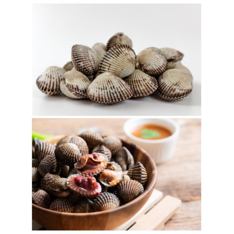 

Kerang Bulu Seafood 500 Gram