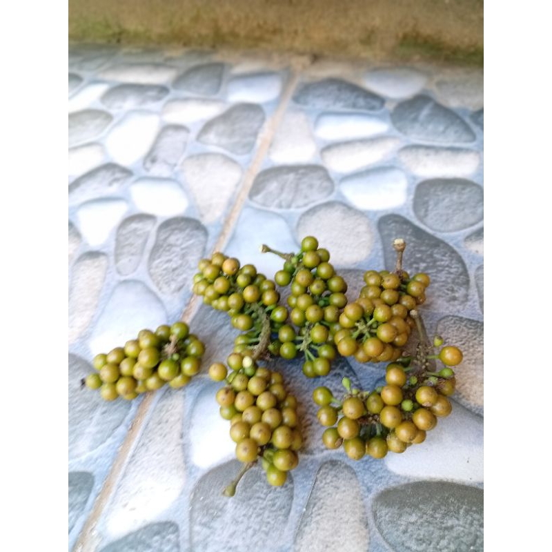 

Kemukus segar 100 gram